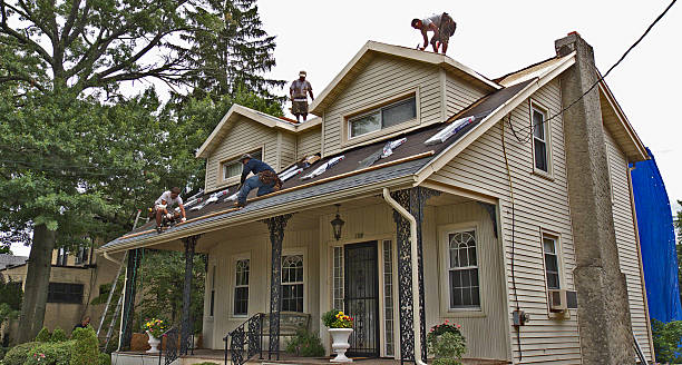 Best Flat Roof Repair Services  in Dahlgren, VA